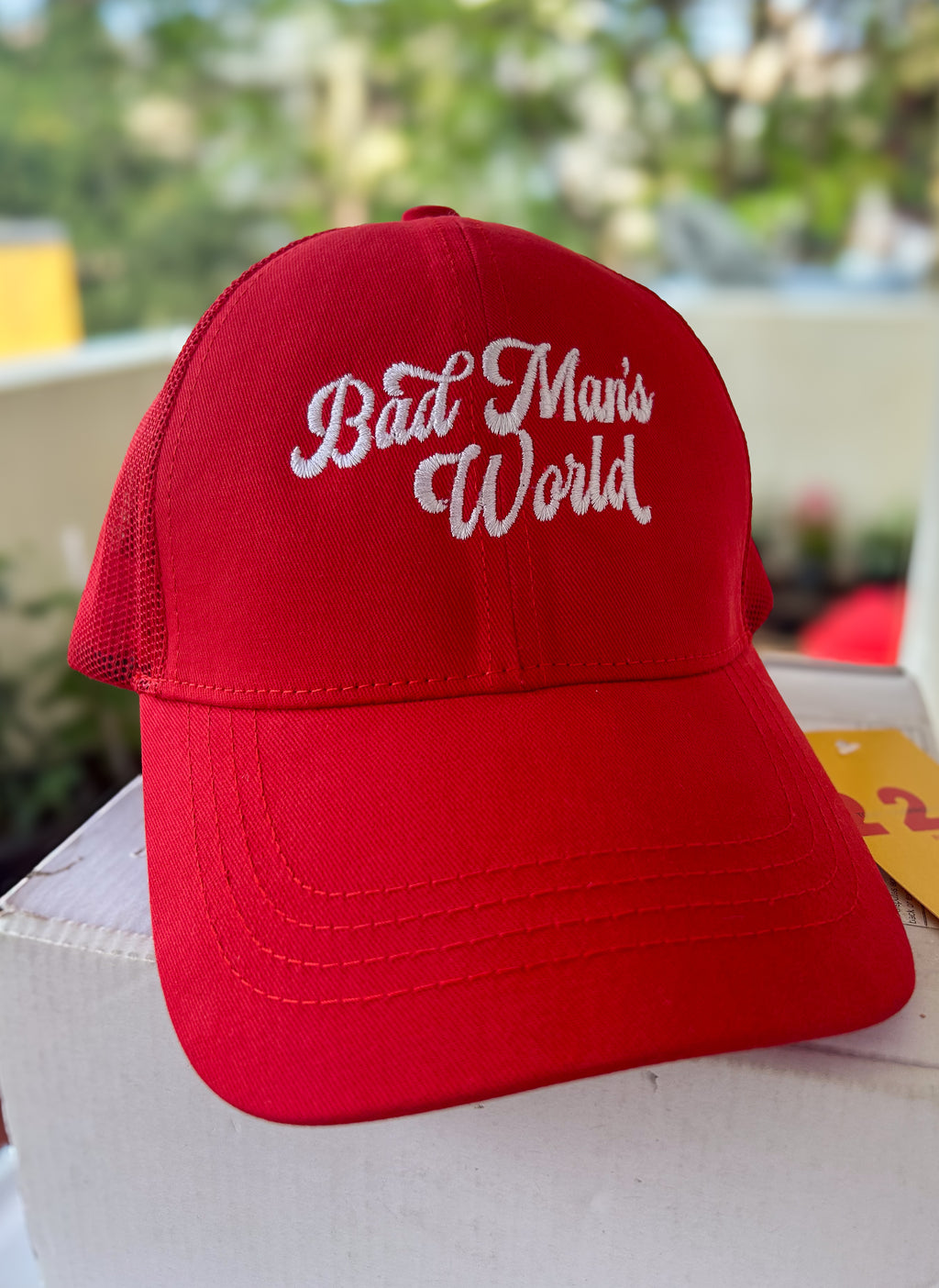 BAD MAN'S WORLD