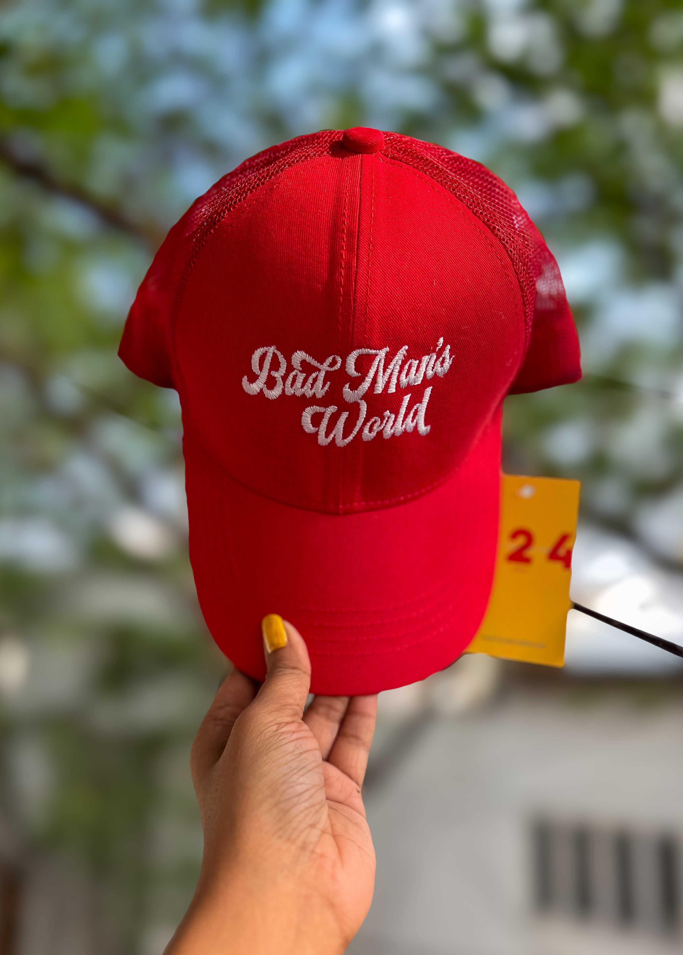 BAD MAN'S WORLD